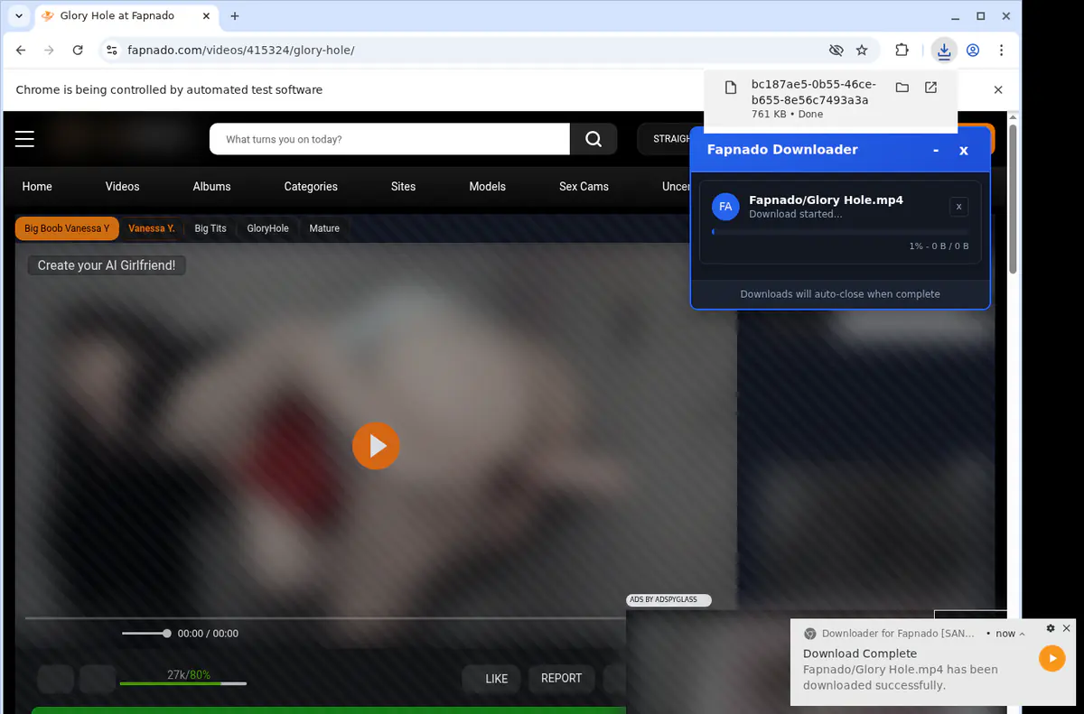 Fapnado Video Downloader browser extension screenshot 2