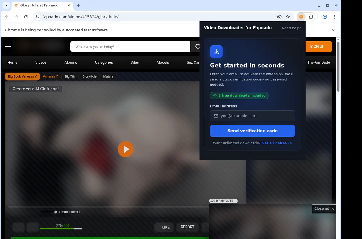 Fapnado Video Downloader browser extension screenshot 5